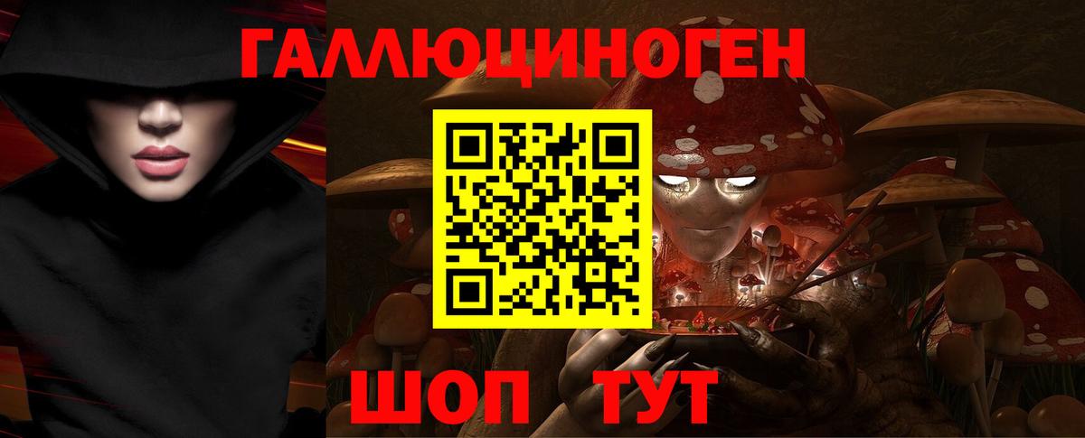 Северск  Галлюциногенные грибы Magic Shrooms  Вход с VPN 